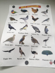 ネパール語動物・鳥