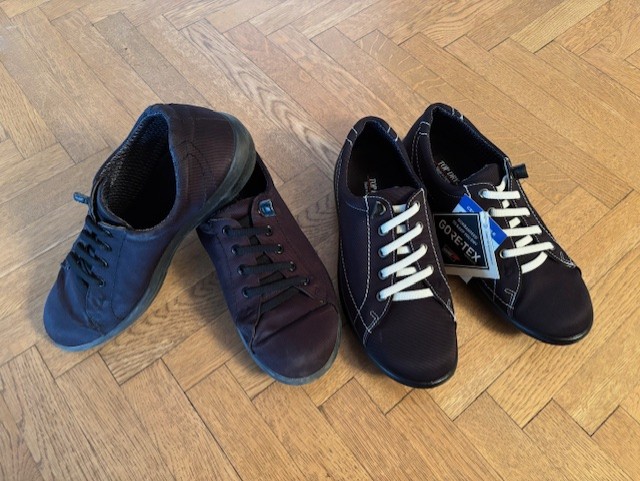 Asahi goretex shoes